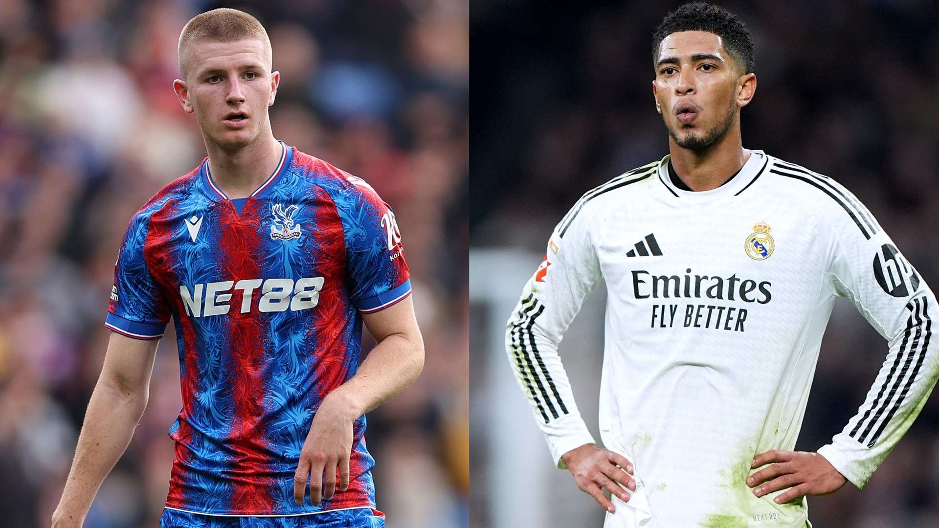 迈尼昂的意 迈尼昂的意